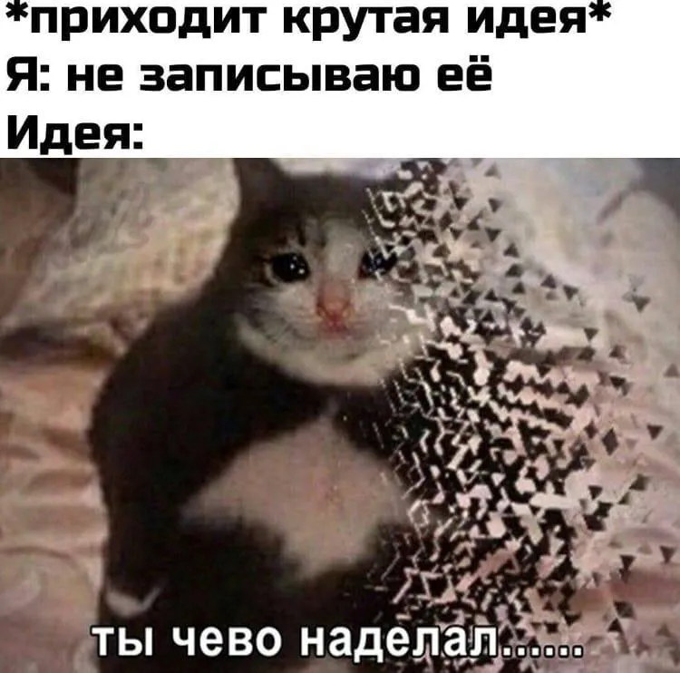 Медиа